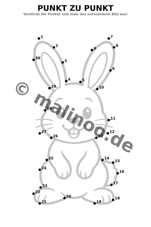 Hasen – Bild 19