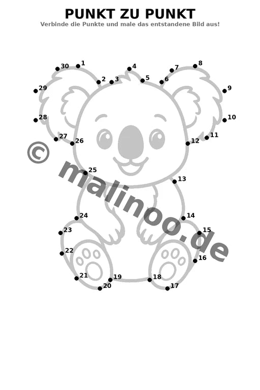 Koala's – Bild 19