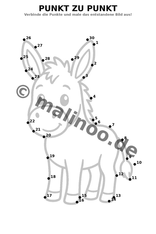 Esel – Bild 19
