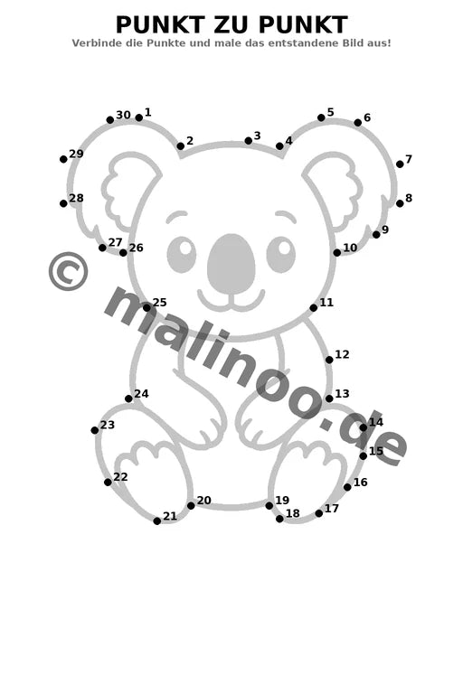 Koala's – Bild 19
