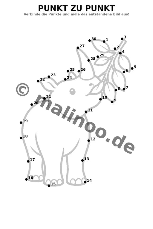Nashörner – Bild 19