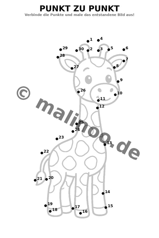 Giraffen – Bild 19
