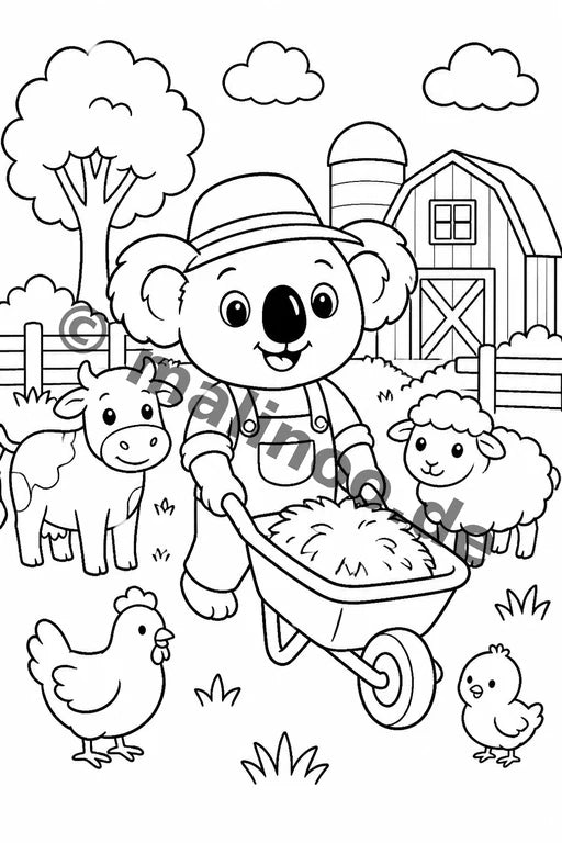 Koala's – Bild 20