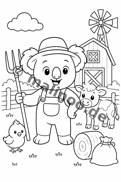 Koala's – Bild 20