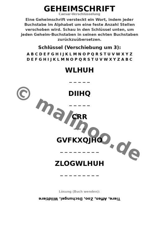 Affen Aktivitätsbuch 50 Rätsel- und Aktivitätsseiten PDF – Vorschaubild 5