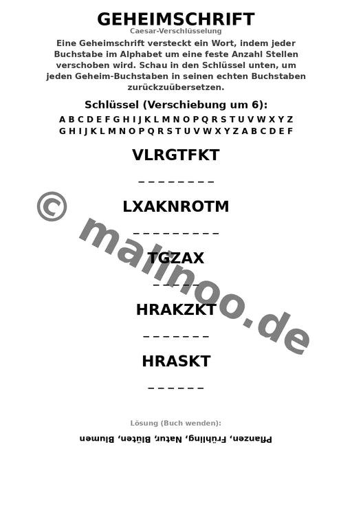 Blumen Aktivitätsbuch 20 Rätsel- und Aktivitätsseiten gedruckt+gebunde – Vorschaubild 9