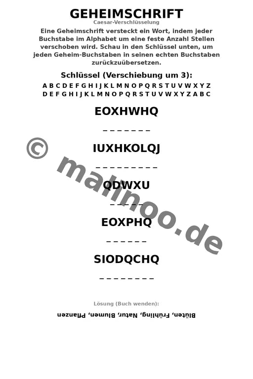 Blumen Aktivitätsbuch 50 Rätsel- und Aktivitätsseiten gedruckt+gebunde – Vorschaubild 6
