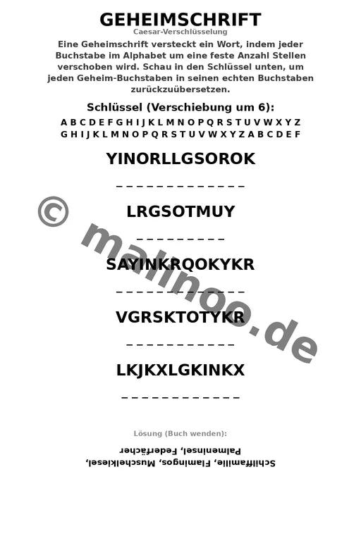 Flamingo Aktivitäten Aktivitätsbuch 20 Rätsel- und Aktivitätsseiten ge – Vorschaubild 8