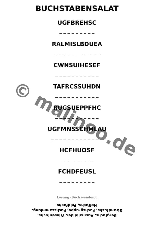 Füchse Aktivitätsbuch 50 Rätsel- und Aktivitätsseiten gedruckt+lose – Vorschaubild 6