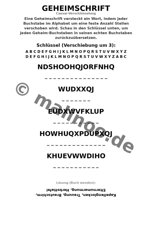 Hochzeit Aktivitätsbuch 20 Rätsel- und Aktivitätsseiten PDF Download – Vorschaubild 5