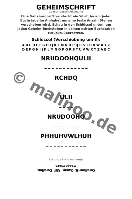 Korallenriffe Aktivitätsbuch 20 Rätsel- und Aktivitätsseiten gedruckt+ – Vorschaubild 5