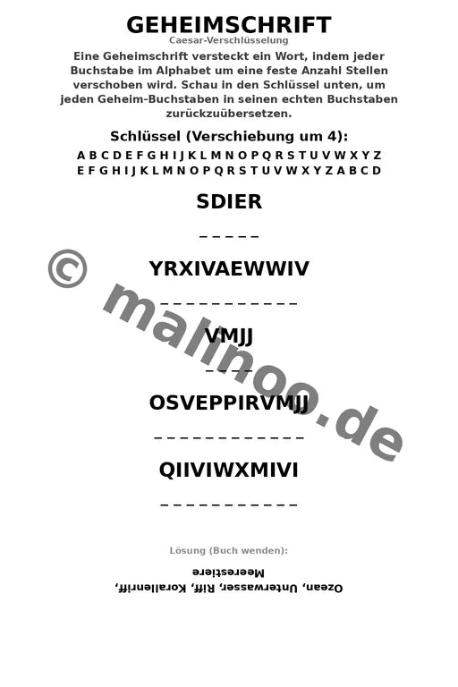 Korallenriffe Aktivitätsbuch 20 Rätsel- und Aktivitätsseiten gedruckt+ – Vorschaubild 8