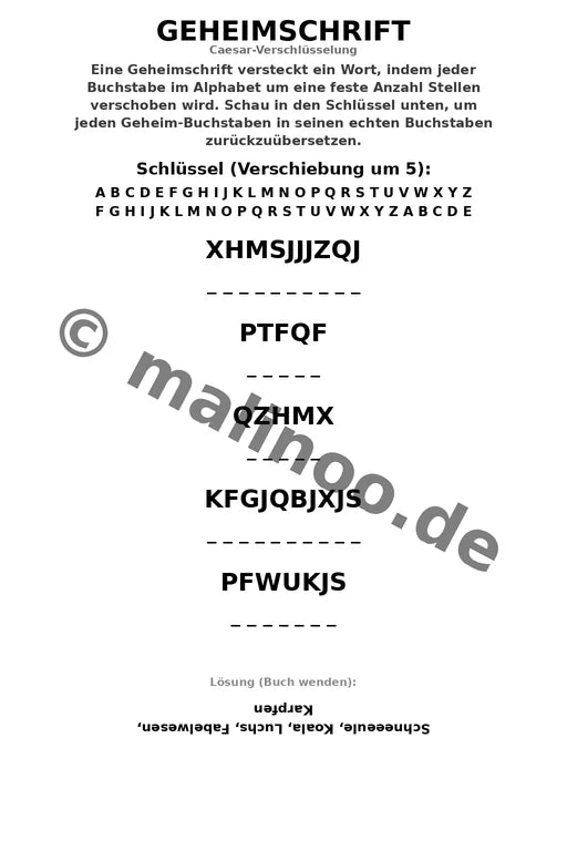 Magische Tiere Aktivitätsbuch 50 Rätsel- und – Vorschaubild 5