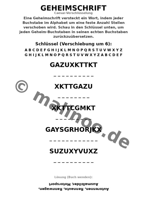 Rennwagen Aktivitätsbuch 20 Rätsel- und Aktivitätsseiten gedruckt+gebu – Vorschaubild 9