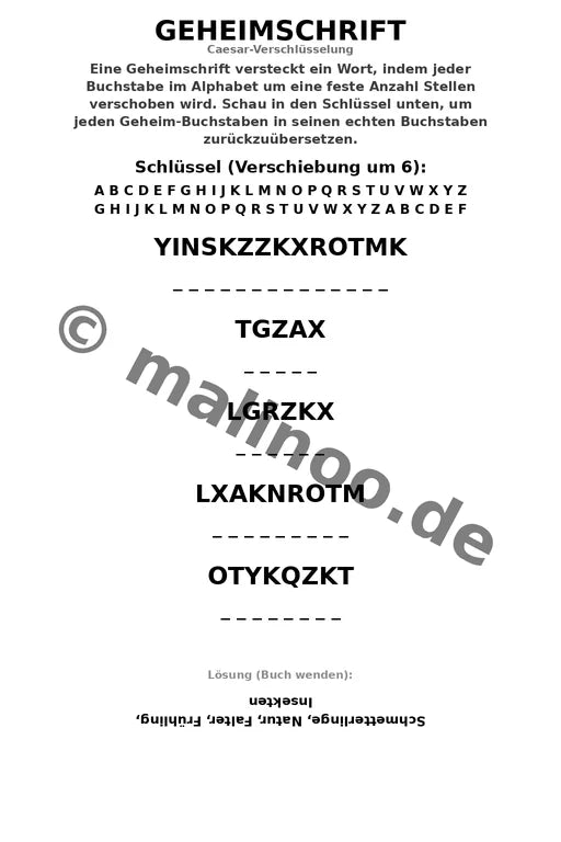 Schmetterlinge Aktivitätsbuch 20 Rätsel- und Aktivitätsseiten gedruckt – Vorschaubild 6