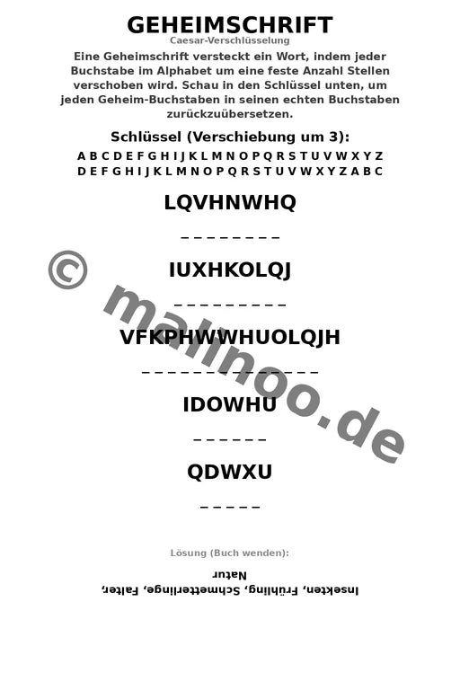 Schmetterlinge Aktivitätsbuch 50 Rätsel- und Aktivitätsseiten gedruckt – Vorschaubild 9
