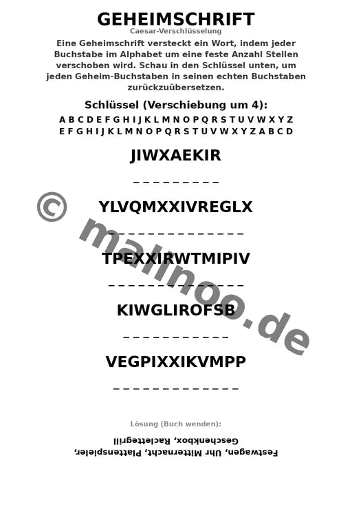 Silvester Aktivitätsbuch 20 Rätsel- und Aktivitätsseiten – Vorschaubild 5