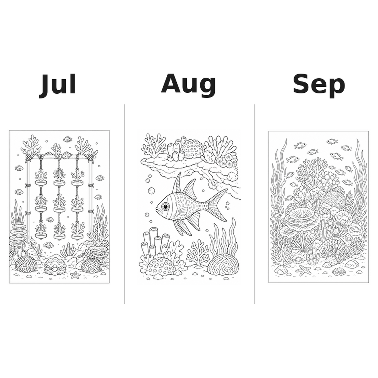 coral_reefs_medium Kalender 2027 Motive Ausmalen 3