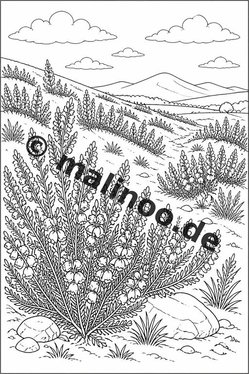 Blumen Malbuch 100 Ausmalbilder gedruckt+gebunden – Vorschaubild 6