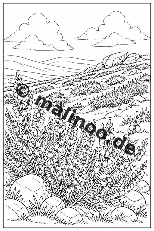 Blumen Malbuch 20 Ausmalbilder gedruckt und gebunden – Vorschaubild 6