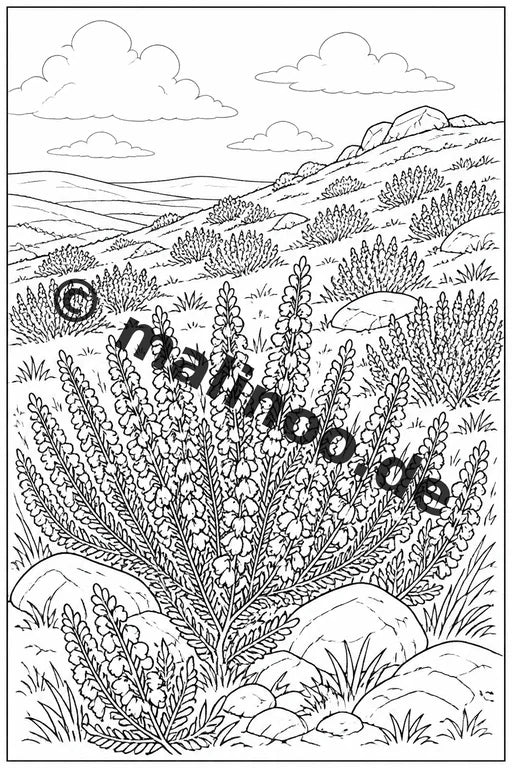 Blumen Malbuch 20 Ausmalbilder gedruckt, ungebunden – Vorschaubild 6
