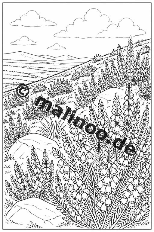 Blumen Malbuch 50 Ausmalbilder gedruckt und gebunden – Vorschaubild 6