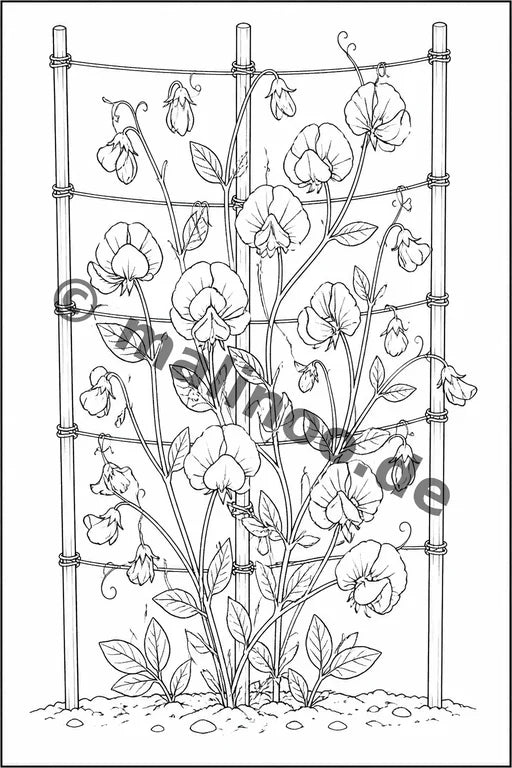 Blumen Malbuch 50 Ausmalbilder gedruckt+lose – Vorschaubild 8
