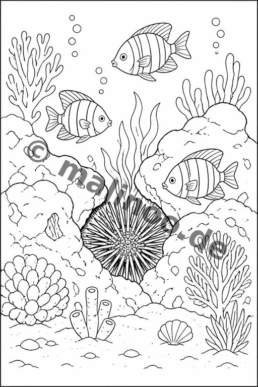 Korallenriffe Malbuch 20 Ausmalbilder PDF Download – Vorschaubild 5