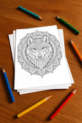 Mandalas Malbuch 20 Ausmalbilder gedruckt+lose – Mockup-Ansicht