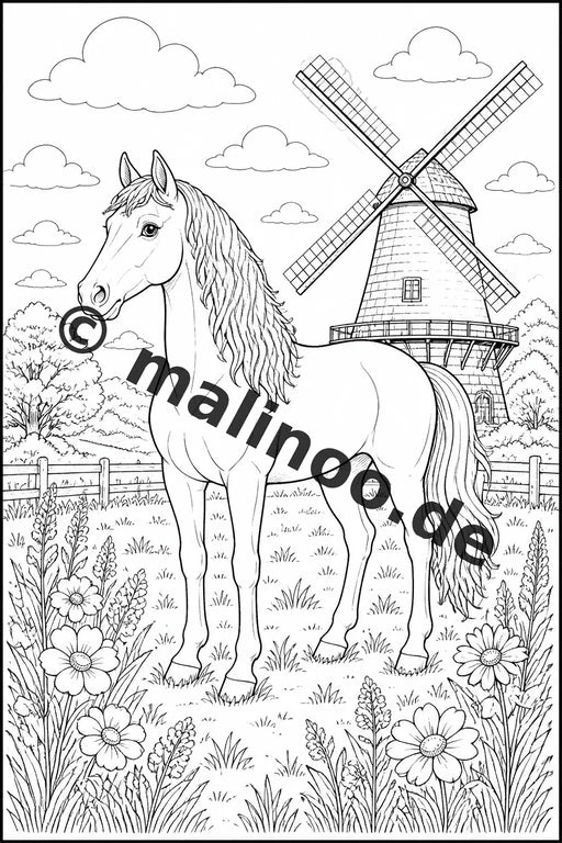 Pferde Malbuch 20 Ausmalbilder PDF Download digital – Vorschaubild 2