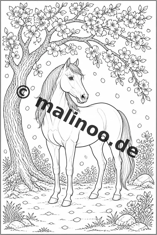 Pferde Malbuch 20 Ausmalbilder PDF Download digital – Vorschaubild 5