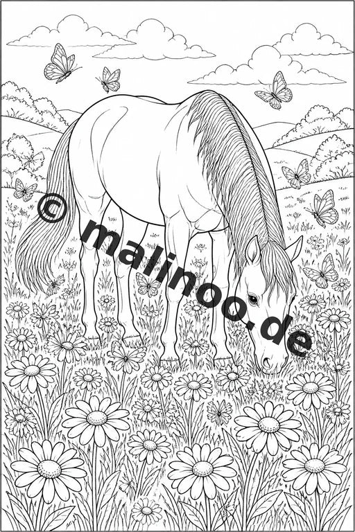 Pferde Malbuch 20 Ausmalbilder gedruckt, ungebunden – Vorschaubild 3
