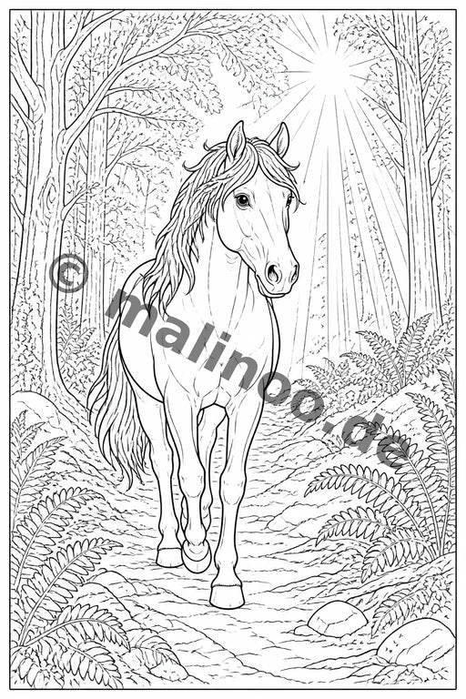 Pferde Malbuch 50 Ausmalbilder gedruckt+lose – Vorschaubild 9