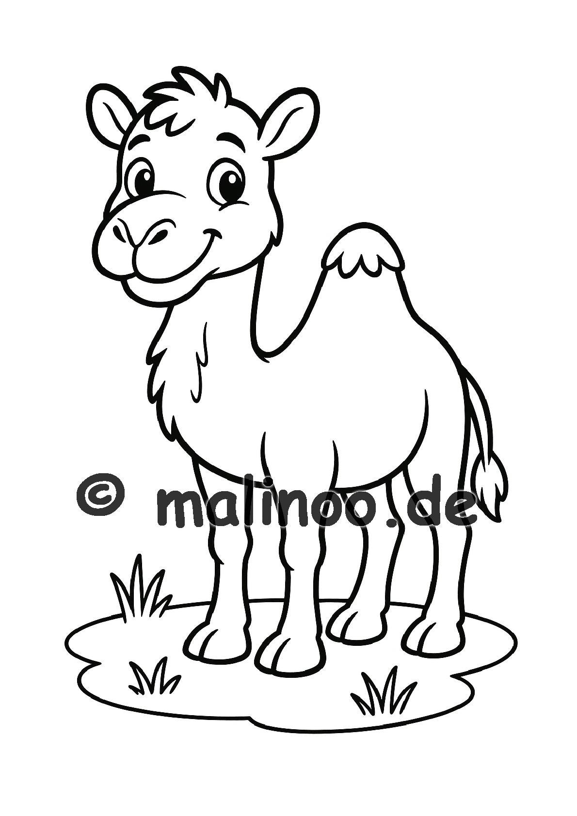 Tier Malbuch Kinder – 20 Tiere zum Ausmalen, Malbuch ab 3 Jahre, Band 2, malinoo