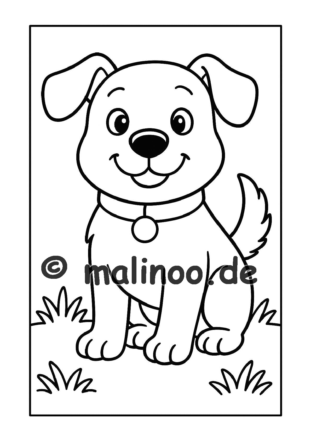 Tier Malbuch Kinder – 20 Tiere zum Ausmalen, Malbuch ab 3 Jahre, Band 4, malinoo